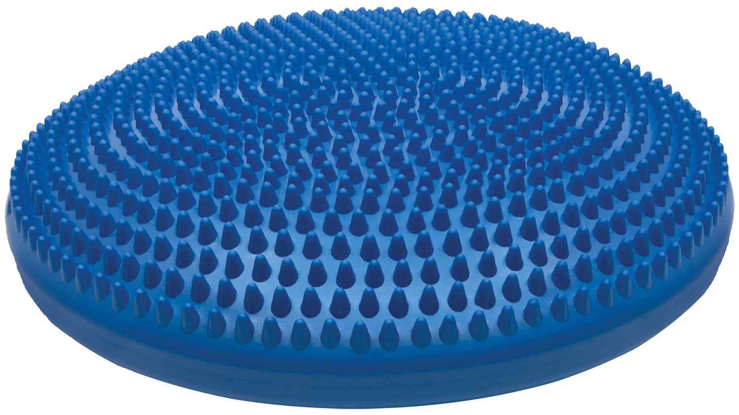 Champion Sports 14 Inch Exercise Disc