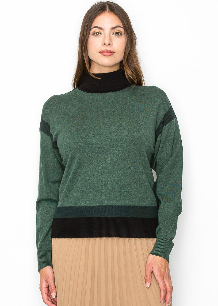 Two-Tone Turtleneck Pullover 7833686212668