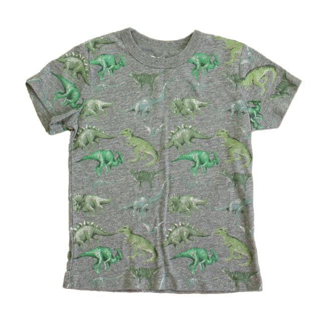 Chaser Boys Gray | Green Dinosaurs T-Shirt 7805843767356