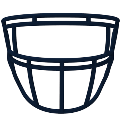 Light LS2 P1 Adult Carbon Steel Facemask