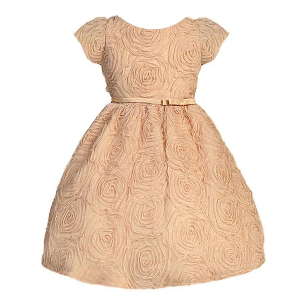 Baby Girls Rosette Textured Flower Girl Dress 6-24M