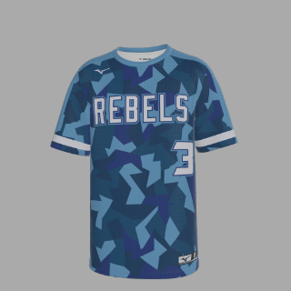 Mizuno Custom Crew Neck Set-In Sleeve Baseball Jersey