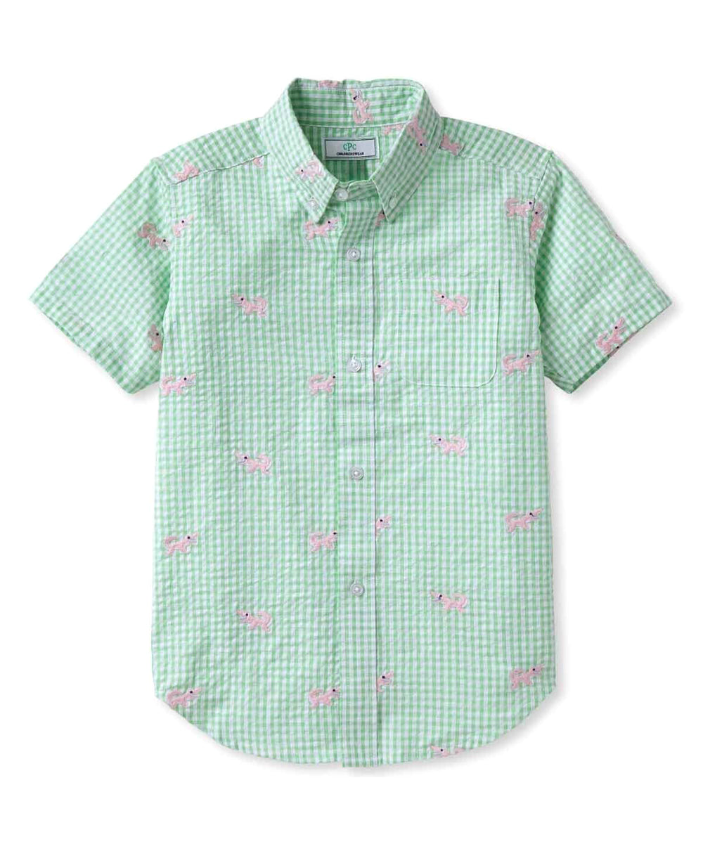 Classic Prep Boys Apple Green Gingham Button Down Short Sleeve Size: 6-14 Years 7805843275836