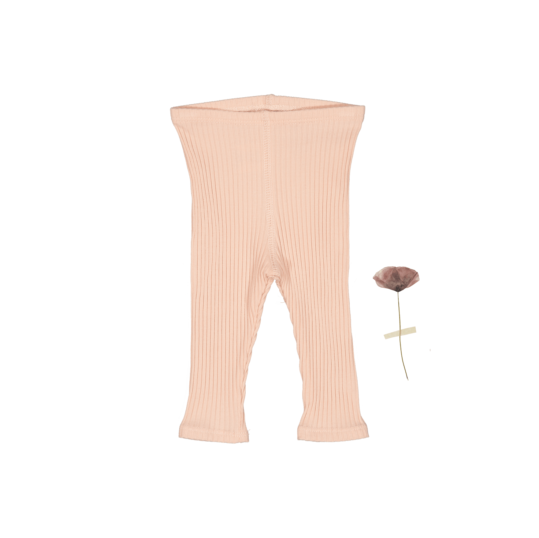 The Legging - Powder