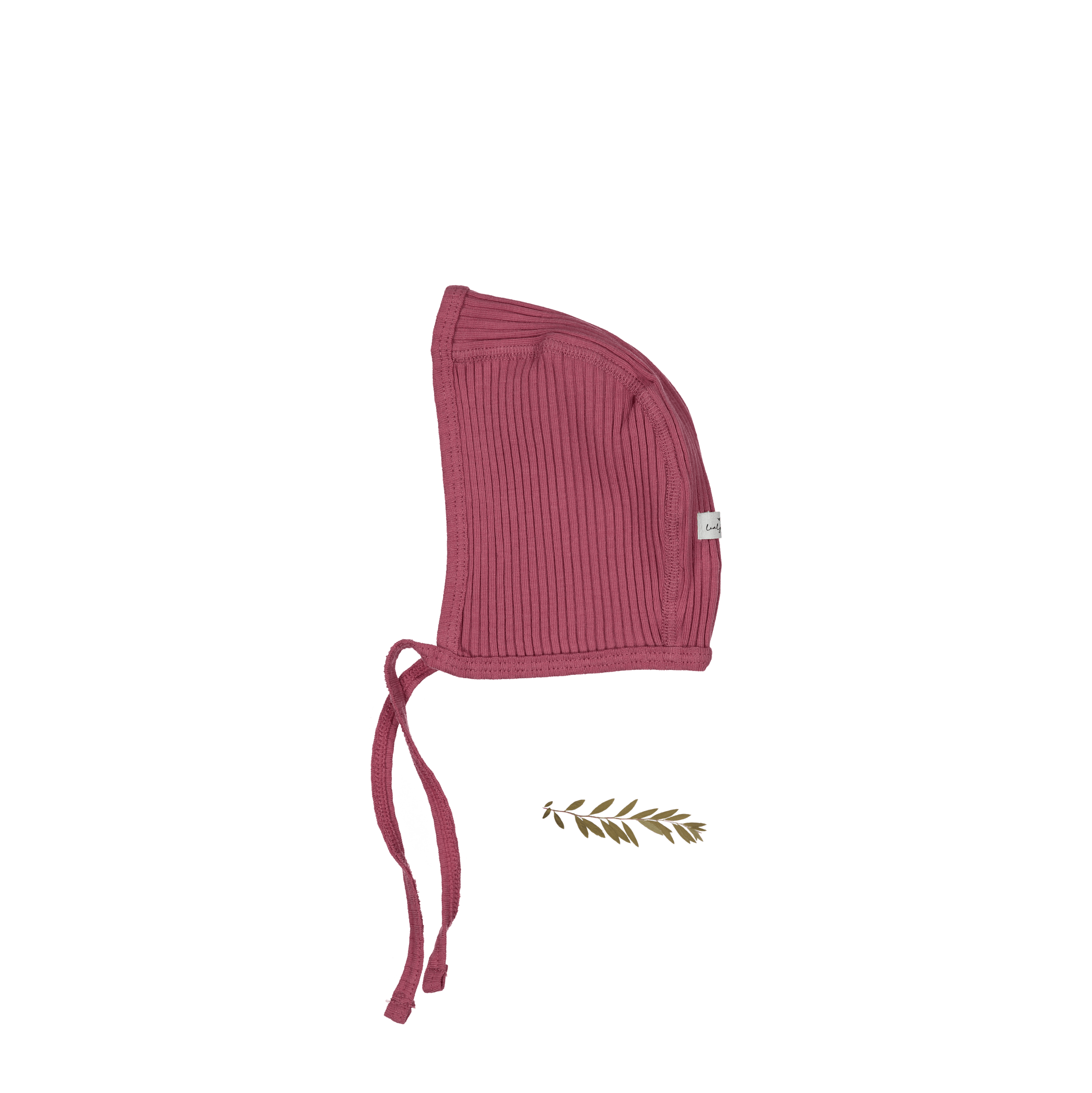 The Bonnet - Raspberry